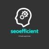 seoefficient