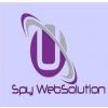 Spywebsolution
