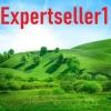 expertseller1