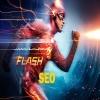 FLASHSEO
