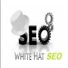 whitehatseo24