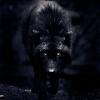 SchwarzerWolf