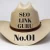 SeoLinkGuru01