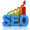 seoexpertindia1