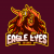 EagleEyes