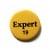 expert19