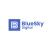 blueskydigital