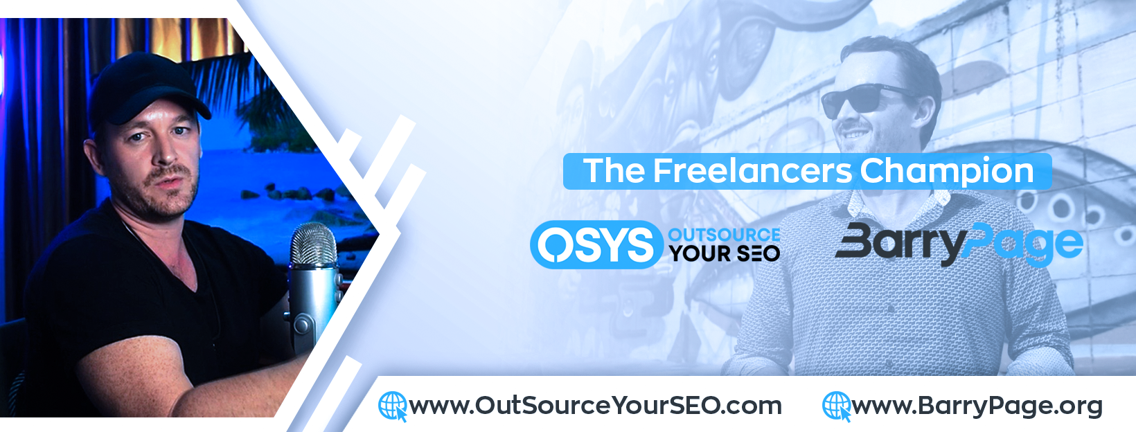 Customized SEO 100 hands off, DFY services