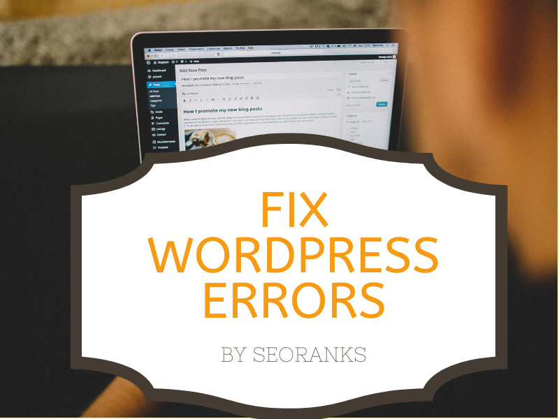 Your Wordpress Assistant with SEO Knowledge