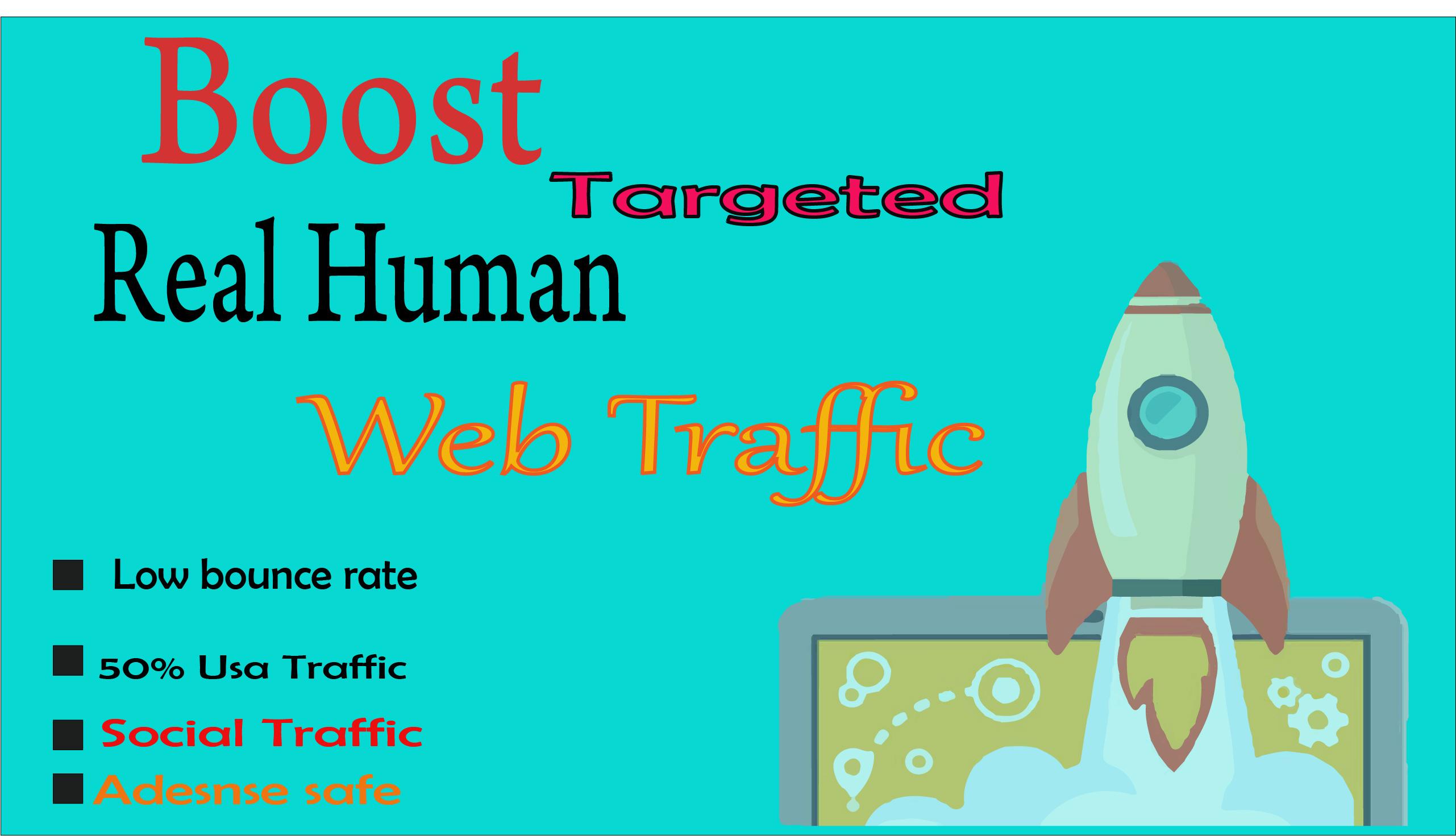 20000 Human Targeted visitors/traffic to your Web/Blo...