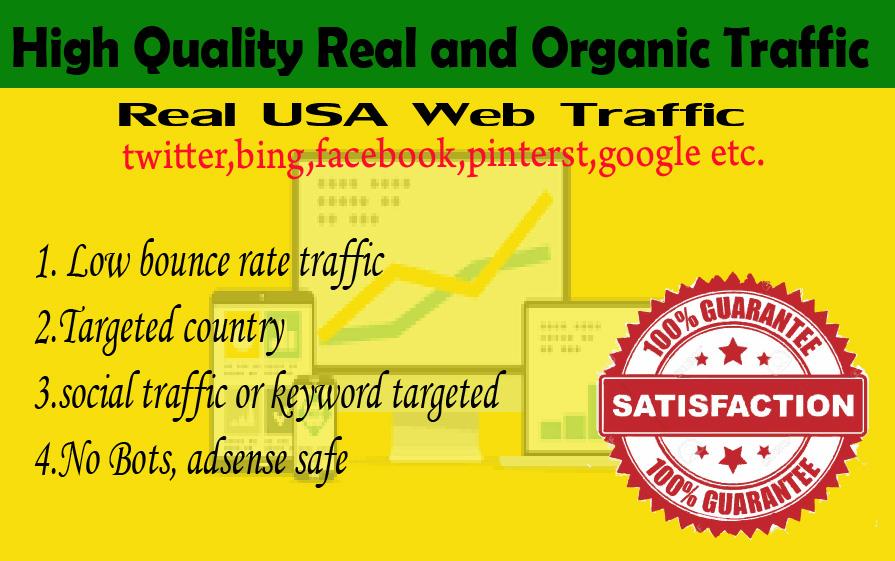10000 Human USA Targeted traffic to your web or blog ...