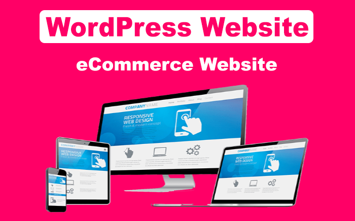 Build Professional WordPress website and eCommerce we...