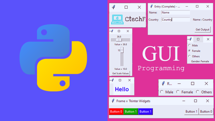 I will do python gui bot, scraper with graphical use...