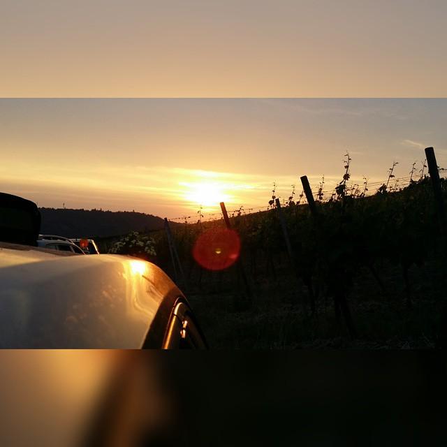 offer you 10 com to your any post