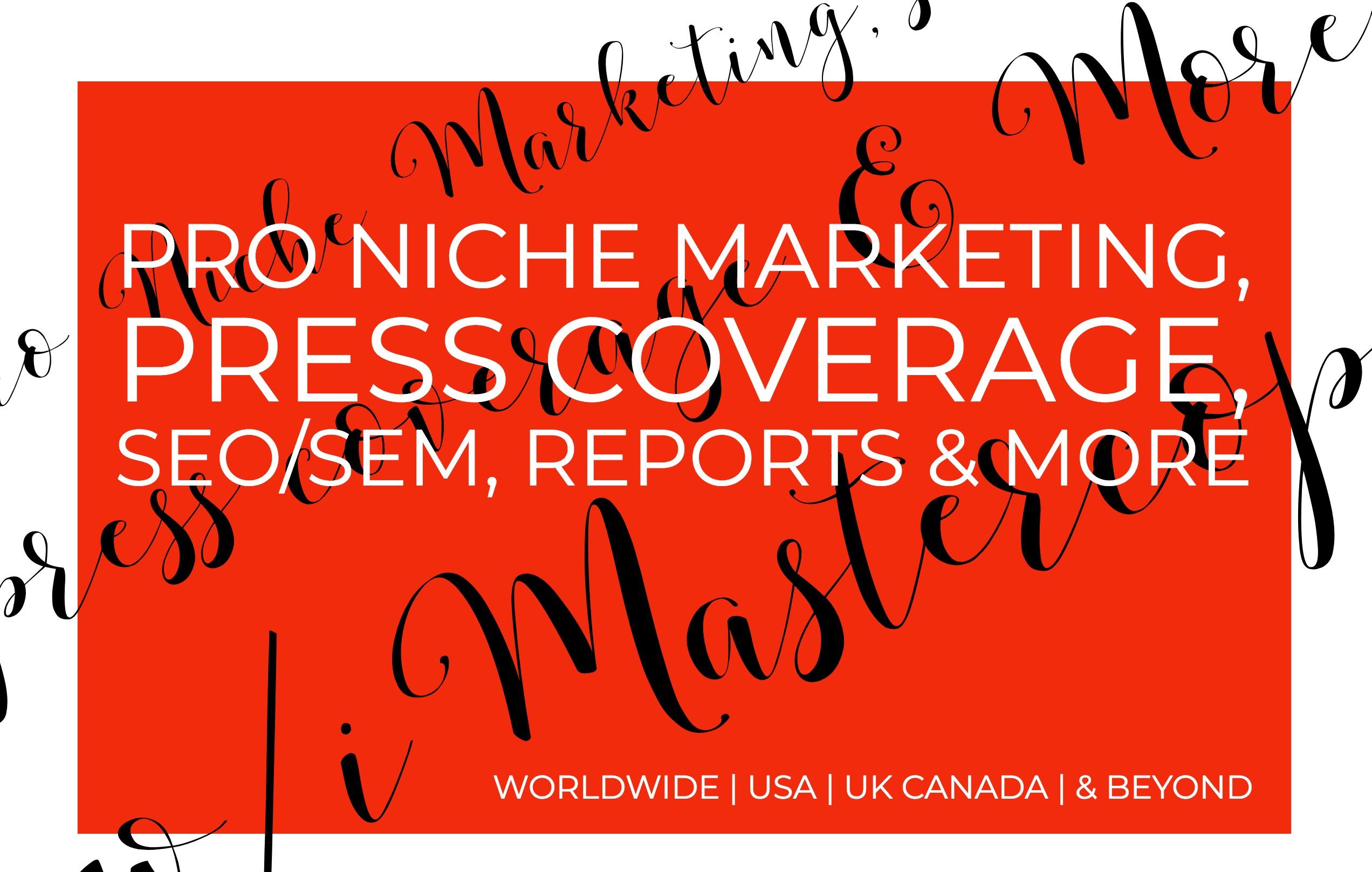 Professional Niche Search Engine Optimization SEO