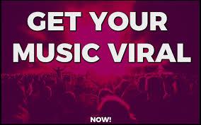 professionally promote your music and make it go VIRA...
