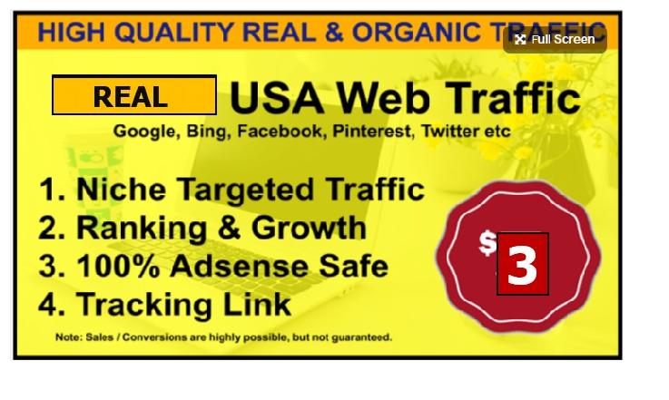 drive niche related targeted traffic to your ebay, a...