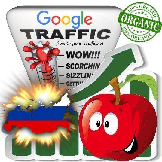 Russian Search Traffic from Google. ru with your Keyw...