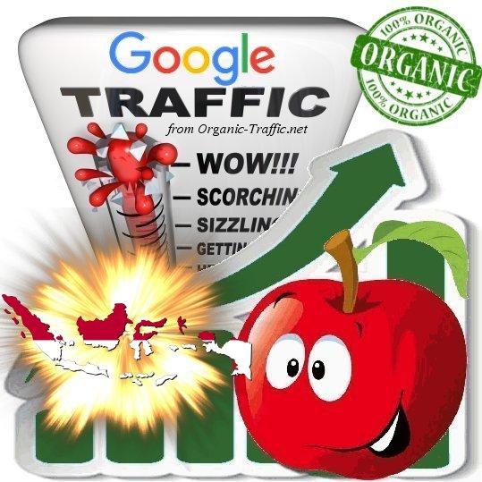 Indonesian Search Traffic from Google. co. id with yo...