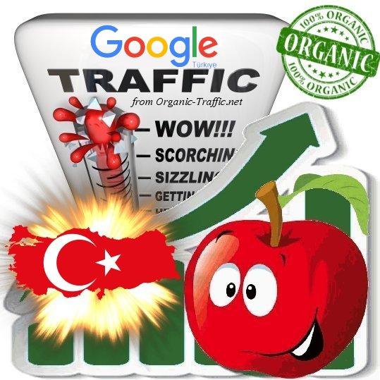 Turkish Search Traffic from Google. com. tr Turkey wi...