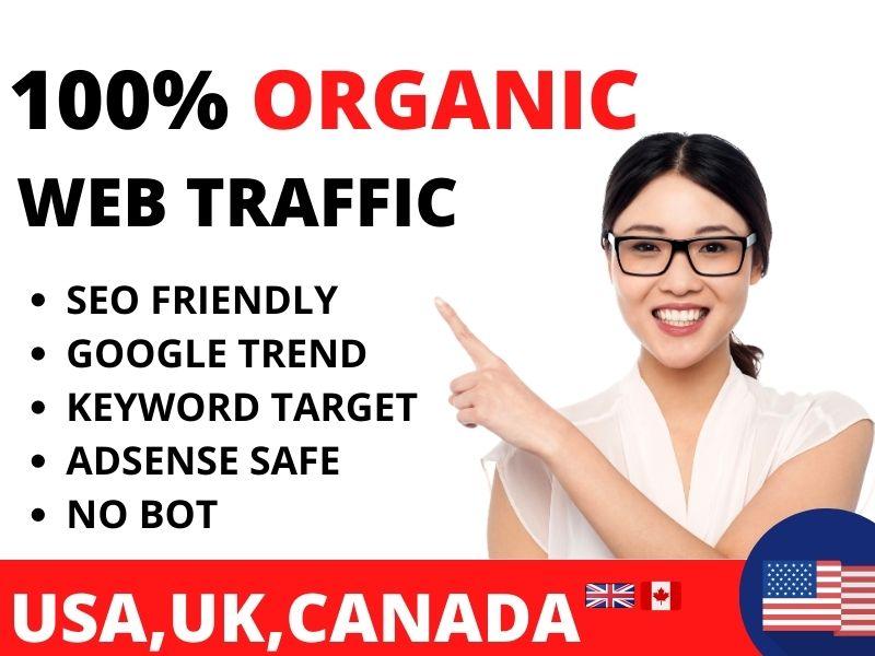 web traffic organic web traffic USA web traffic