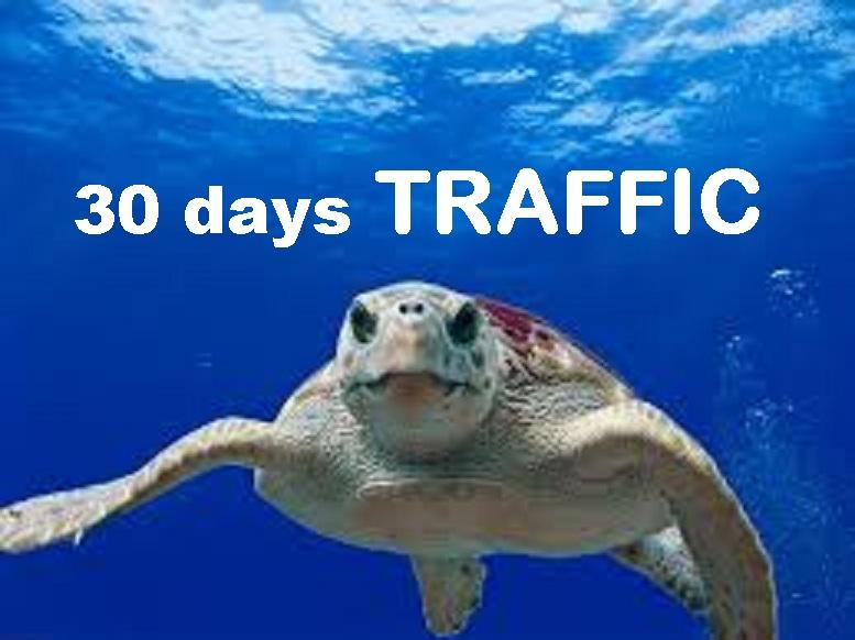 drive 30 days unlimited visitors traffic hits to your...