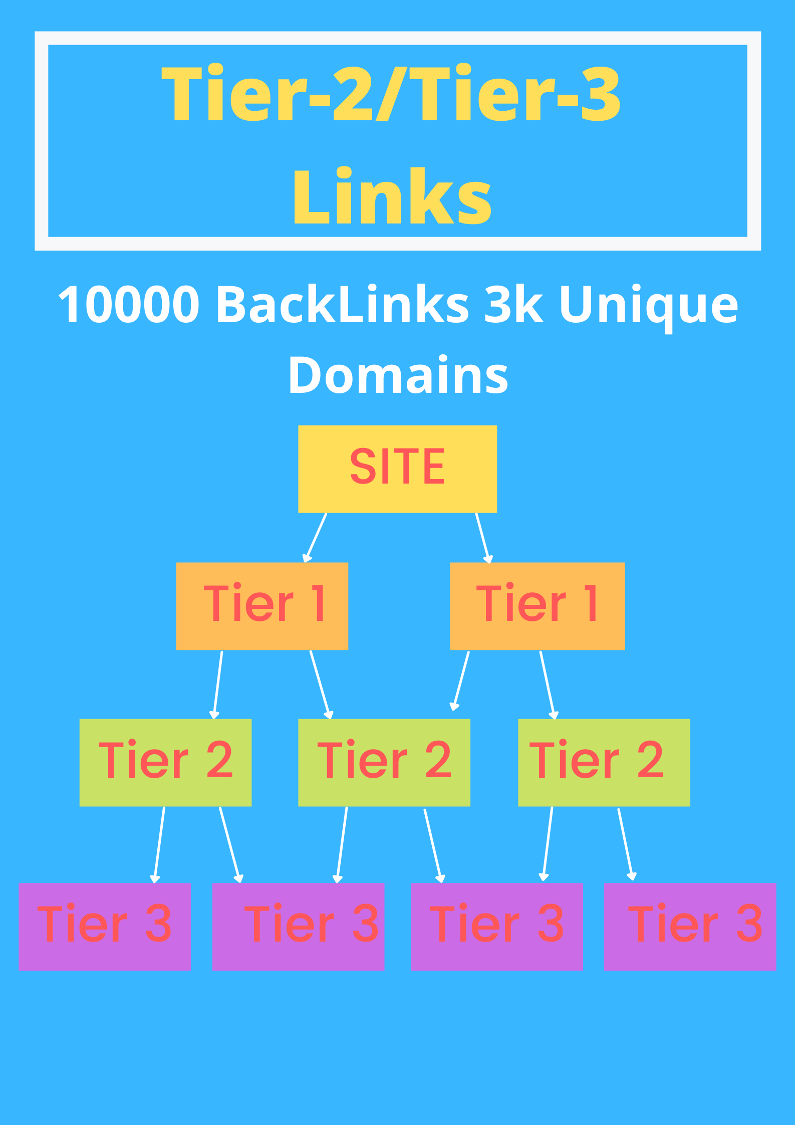 Tier-2/3 Links Solution 10000 BackLinks 3k Unique Dom...