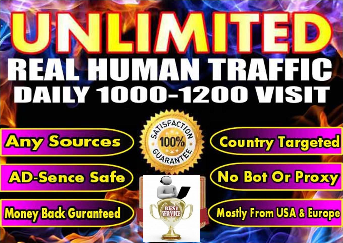 Deliver 1000 Organic & Social Traffic Daily with ...