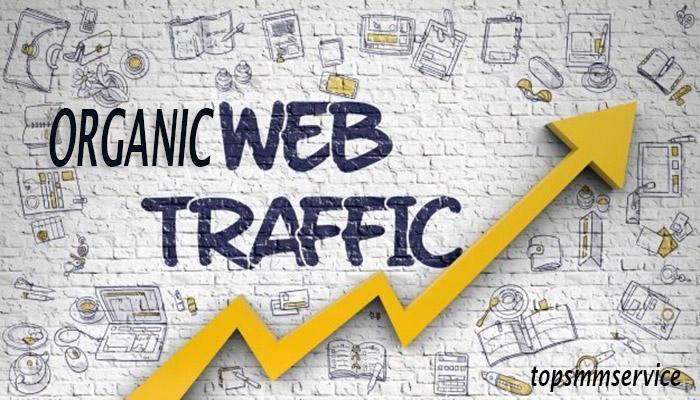 REAL and ORGANIC UNLIMITED Website TRAFFIC for 6 mont...