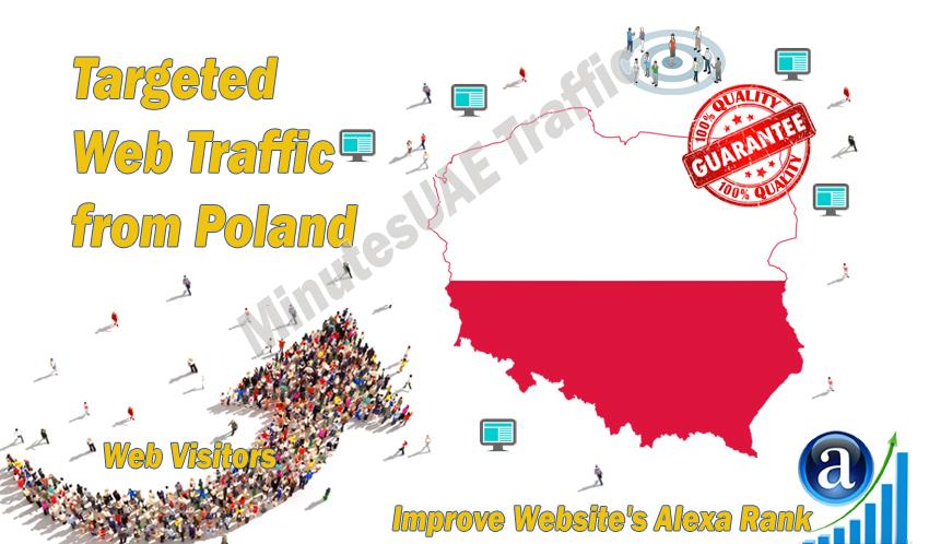 Polish web visitors real targeted Organic web traffic...