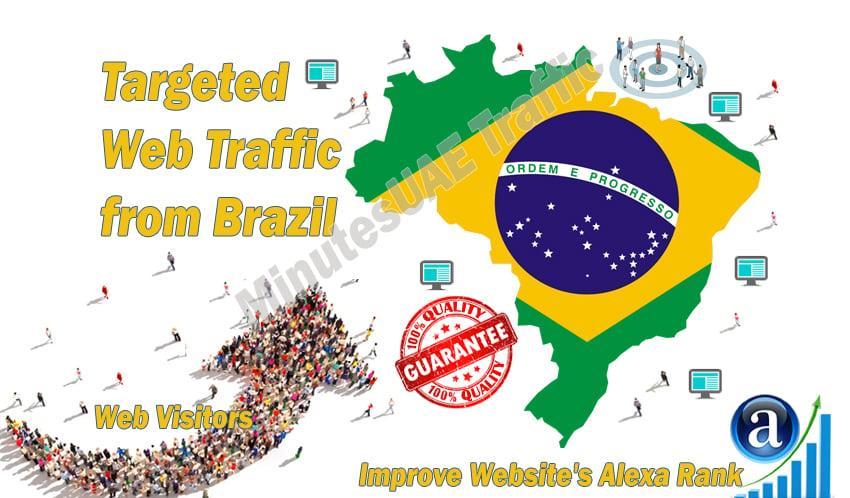 Brazilian web visitors real targeted Organic web traf...