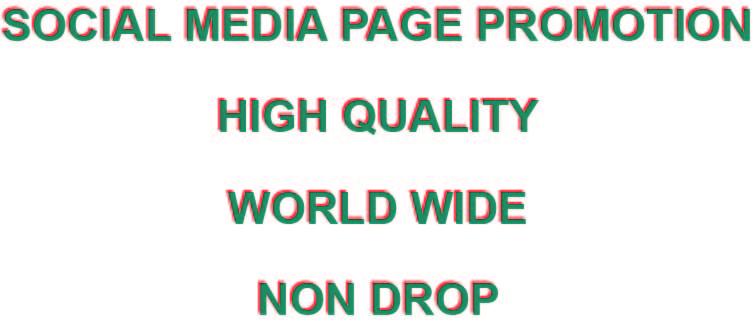 Social Media Page Promotion within 1-3 days