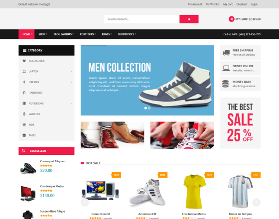 I will create a professional and clean eCommerce webs...