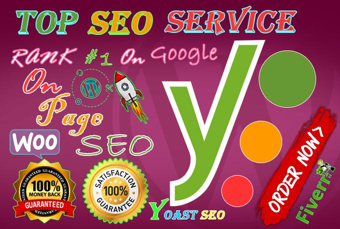 I will do professional on page SEO and 5 page WordPre...