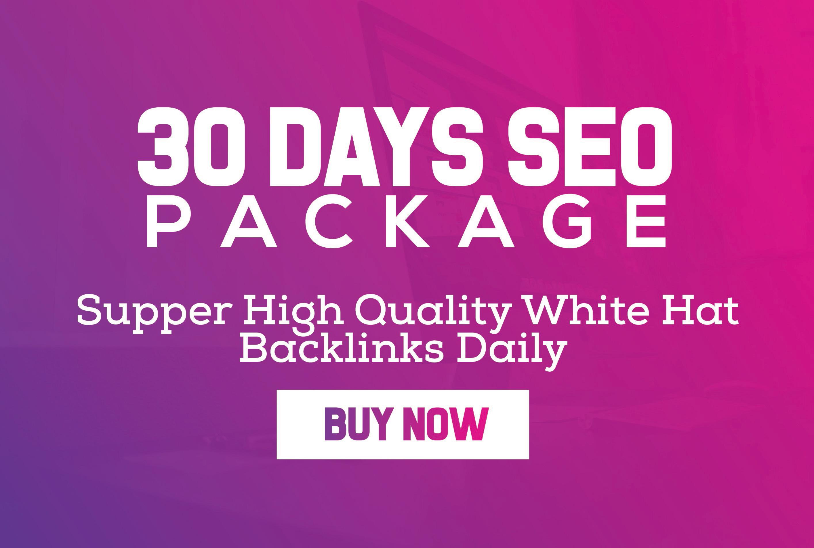 2021 latest 30 Days White Hate SEO Package just in