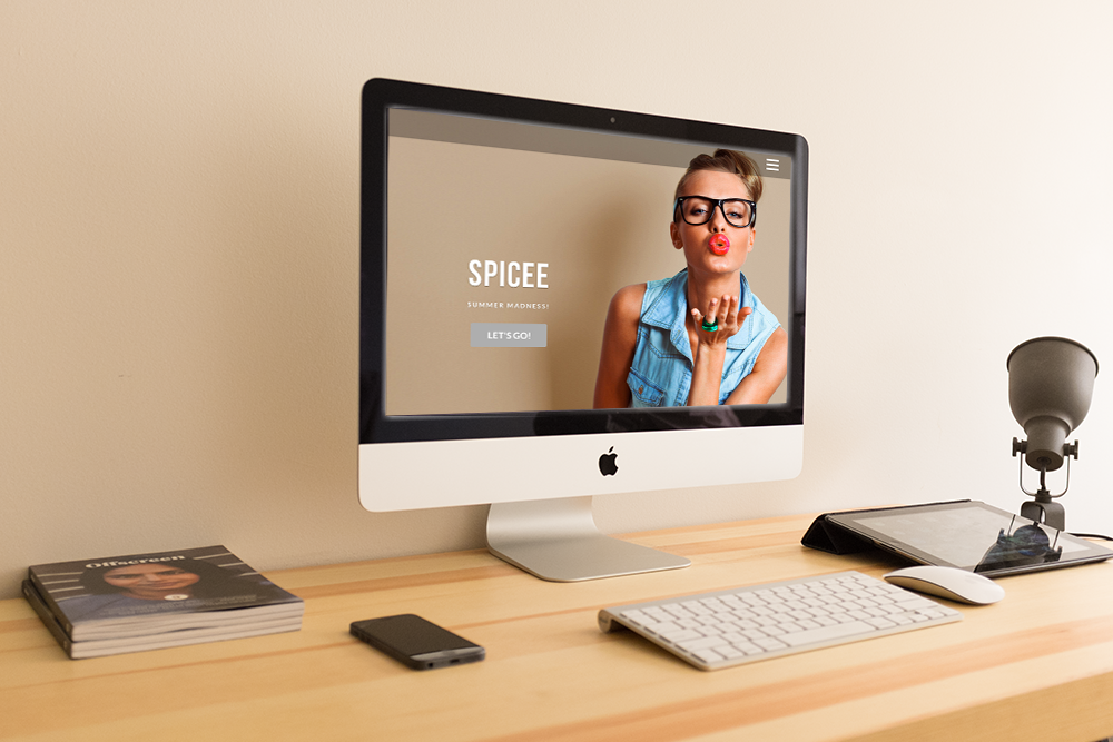 install wordpress, design, and 30 day traffic campa...