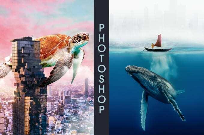 I will do any PS editing, background removing, retou...