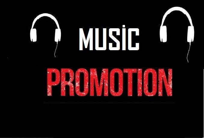 High Quality Music Promotion Playlist Album Or Artist