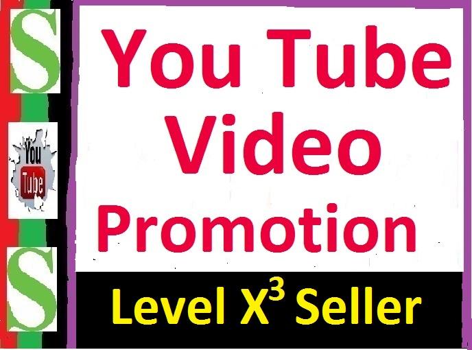 Organic YouTube Video Promotion Marketing