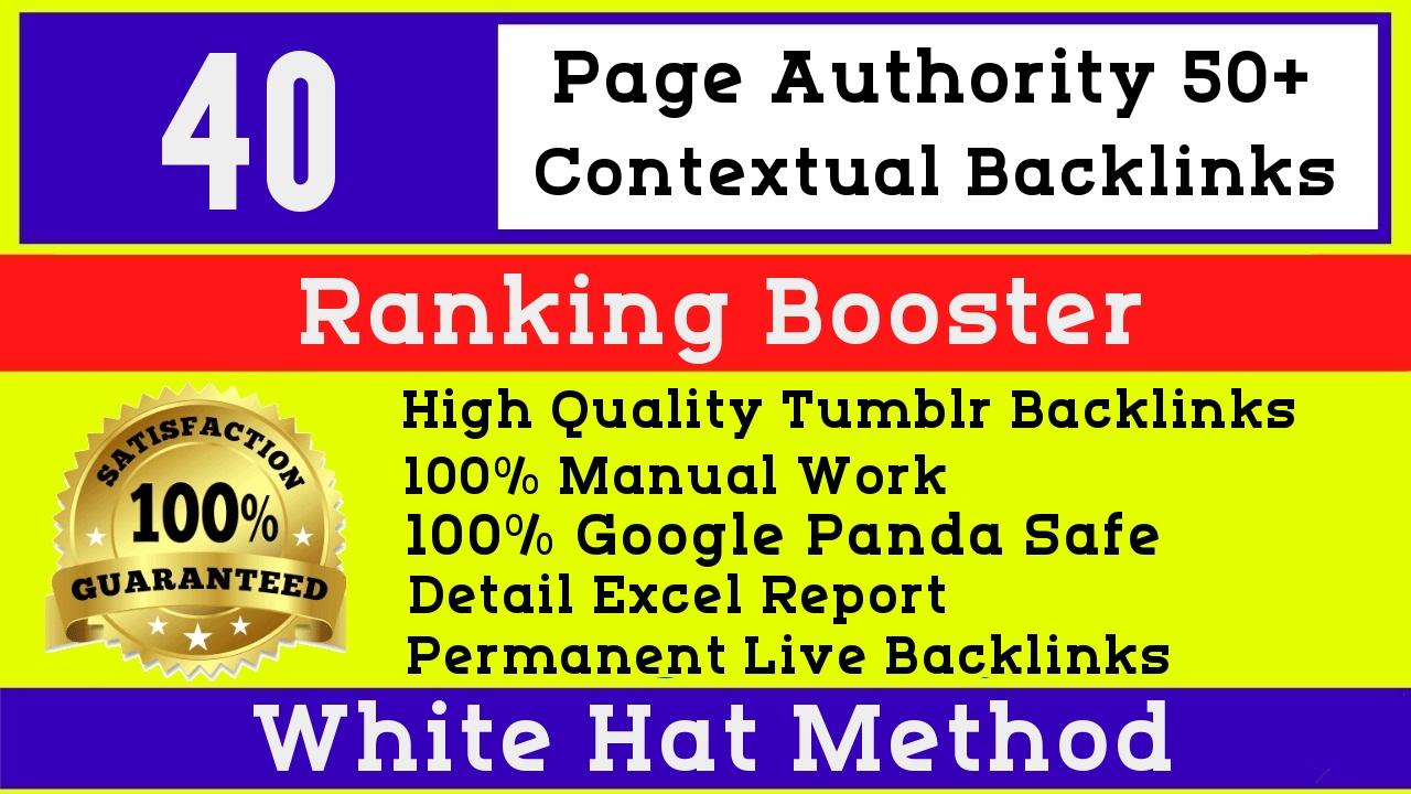 40 High Quality PA50-77 Permanent Tumblr PBN blog pos...