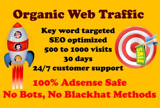 Daily 500+ organic key word targeted WEB TRAFFIC for ...
