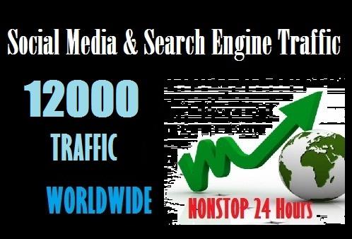 Drive 12000 web traffic from Social Media and Search ...