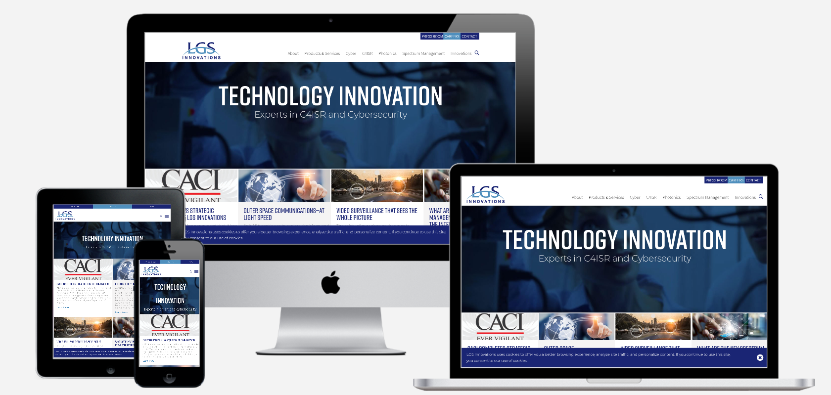 I will create a professional business website