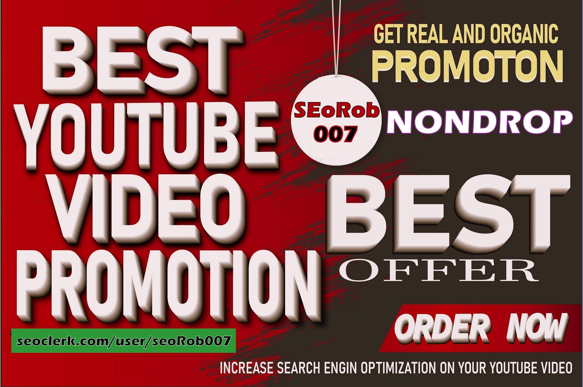 blow up your YOUTUBE video, NON DROP fast Guaranteed