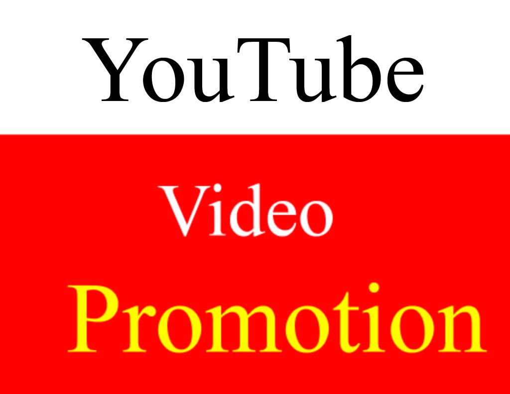 I Will do best Fast Organic YouTube video promotion &...