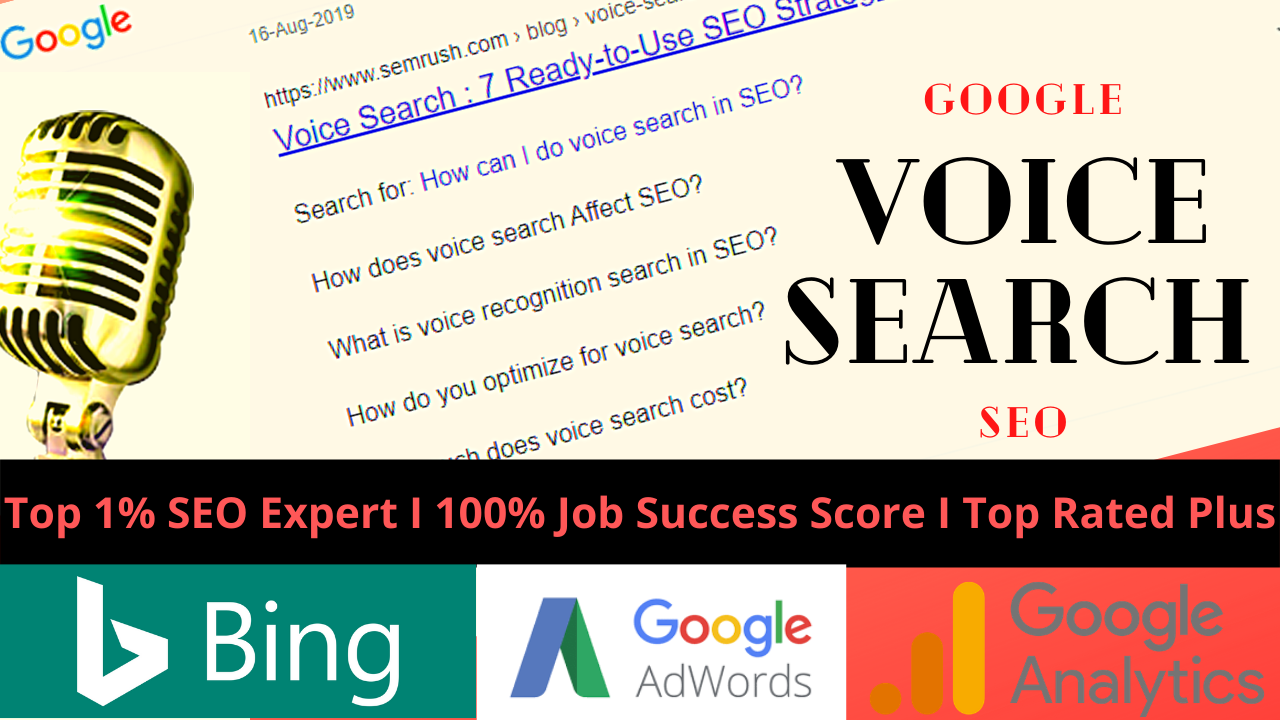 You will get Google Voice Search SEO for Your Website...