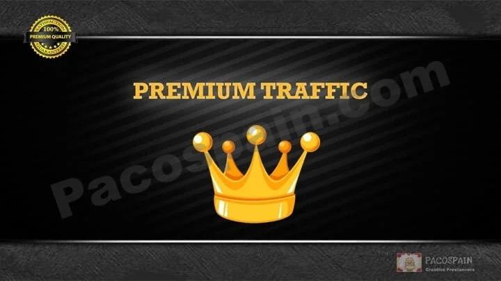 PREMIUM Targeted Visitors/Traffic To Your Website