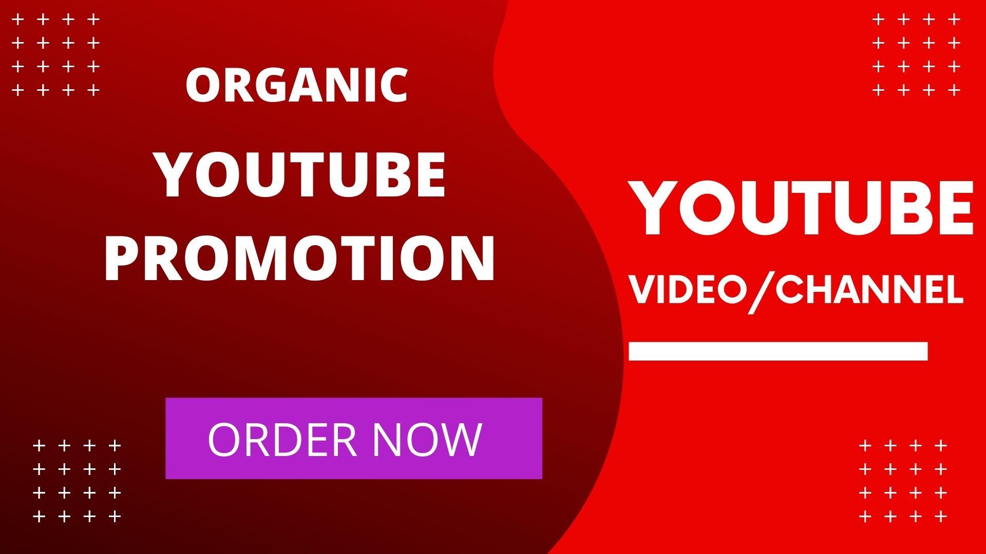 Do fast organic youtube video promotion