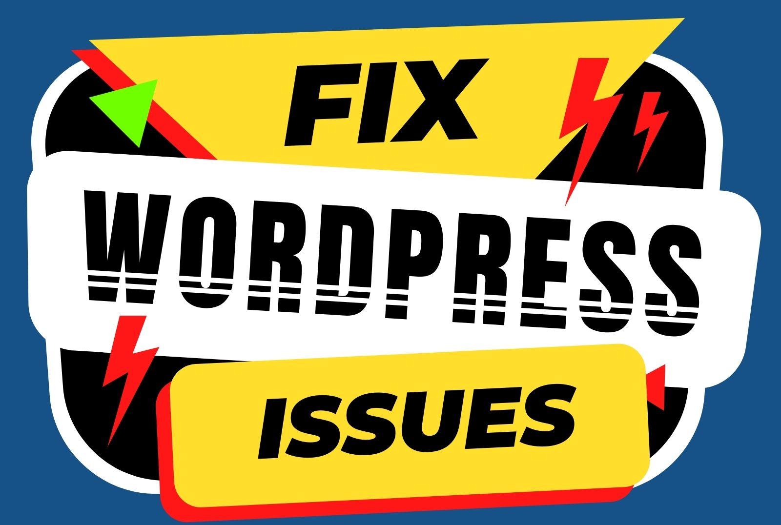 I will fix wordpress issues, errors and bugs instant...