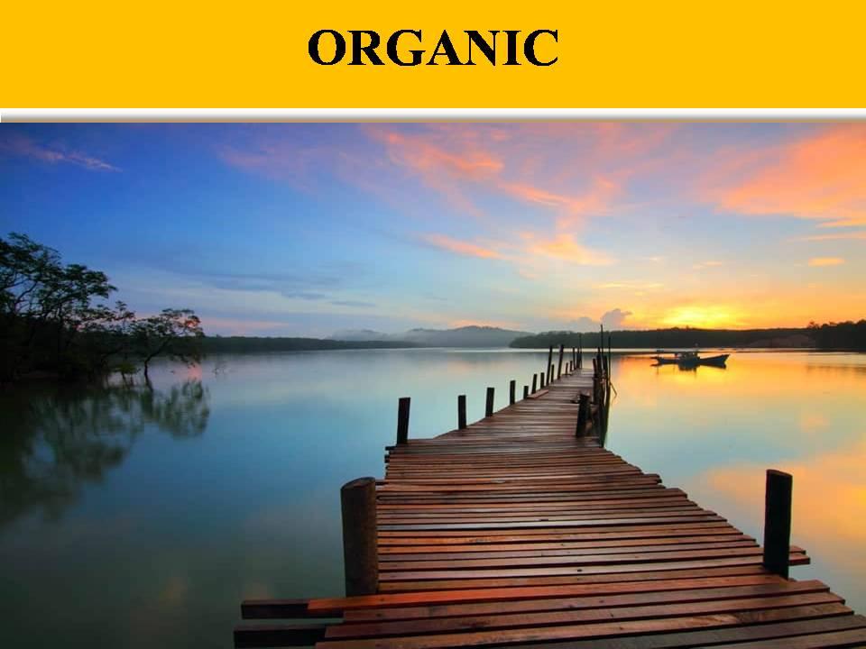 5000 ORGANIC PR9, PR10 SOCIAL SIGNALS FROM THE BEST S...